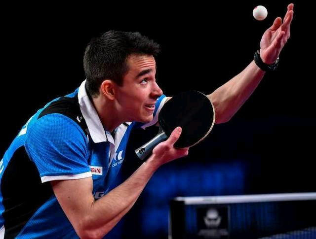 区盾的历史 区盾的历史